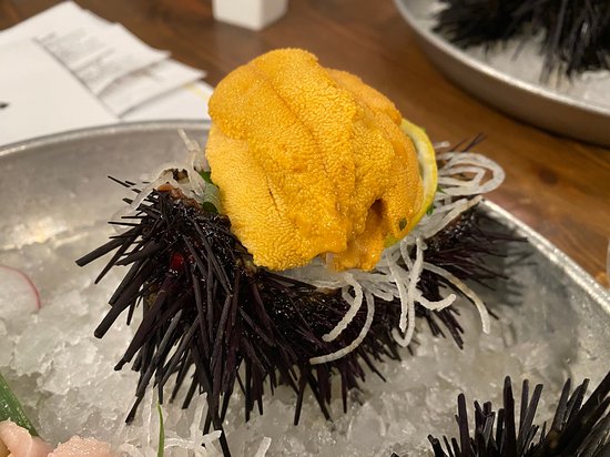 Providence signature dishes Santa Barbara Sea Urchin, Bedford Sea Scallops, Foie Gras Ravioli, and Cigar Amuse Bouches